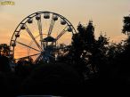 2025-07-20-058.jpg