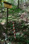 2026-09-28-012.jpg