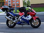 IMG_1447